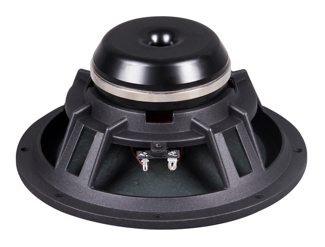 PL820N 8-дюймовый низкочастотный динамик с неодимовым магнитом